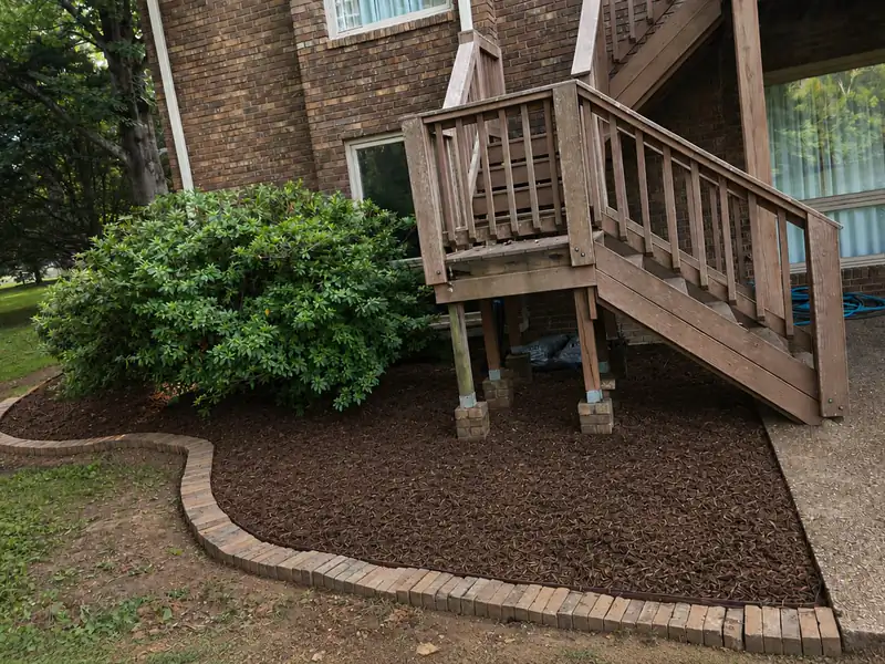 The deck surround after mulching, dressed clean with a brick-paver edge and a trimmed shrub.