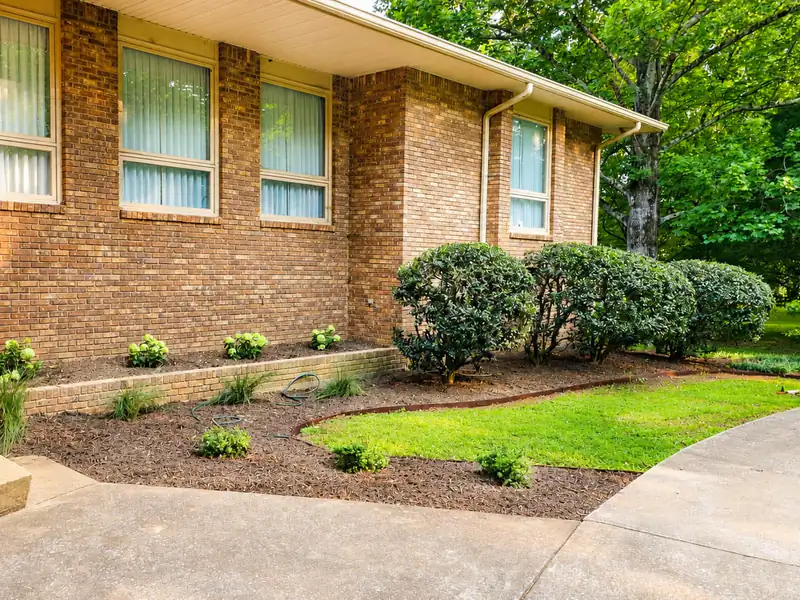 The same foundation bed after mulching, with fresh mulch, trimmed shrubs and a clean edge.
