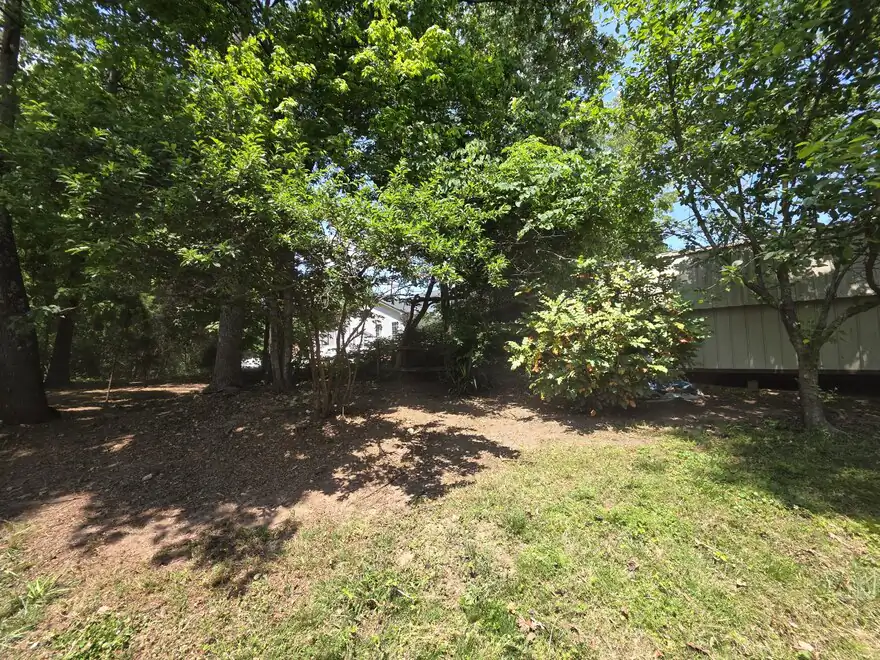 After: the same backyard with leaves bagged, branches removed, and the ground cleared back to grass