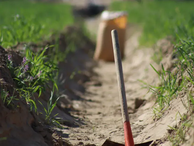 A shovel standing in a freshly dug trench with green grass on either side — French drain installation.