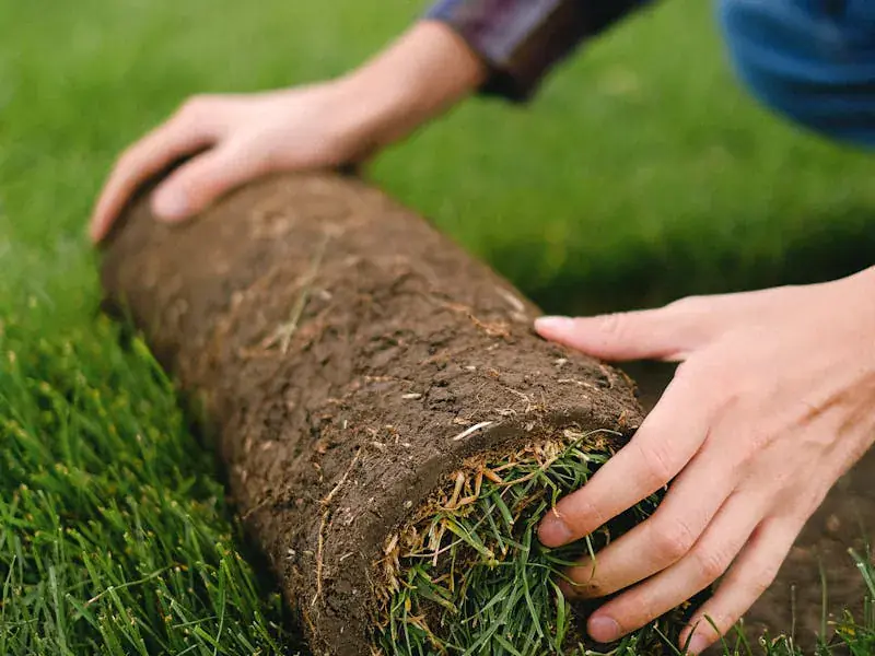 Hands rolling out a fresh strip of sod onto prepared soil — Sod installation by Scenic Garden Solutions.